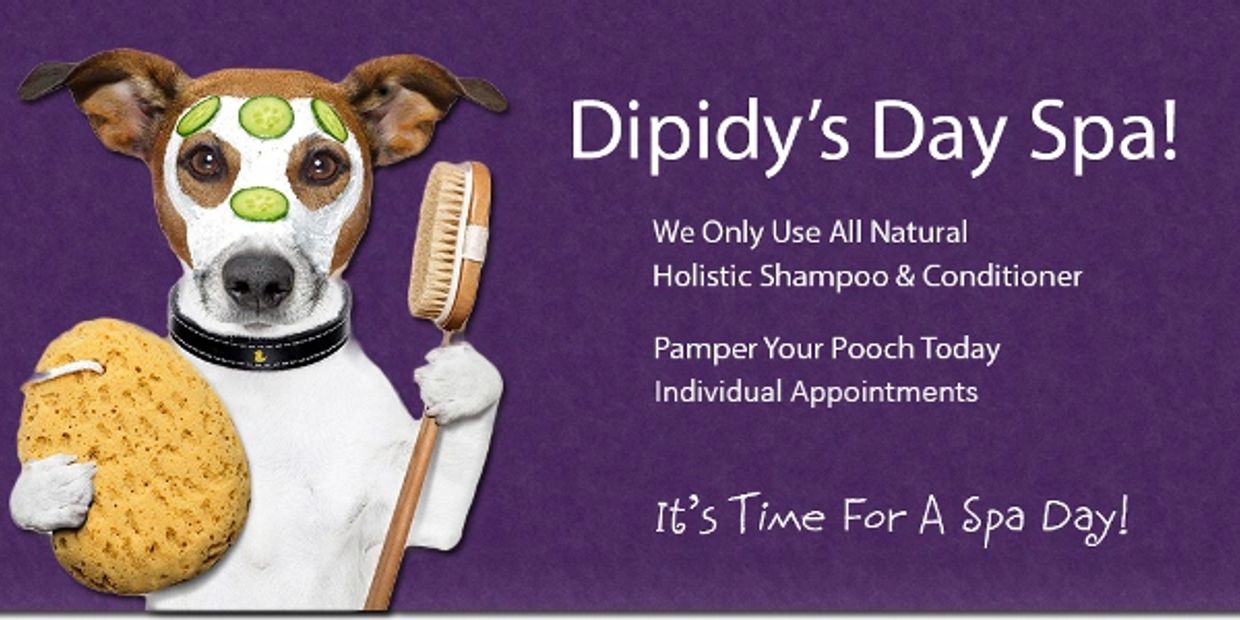 Dippity dog hot sale spa